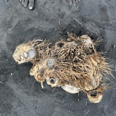 everything is fire lalala_3.wav