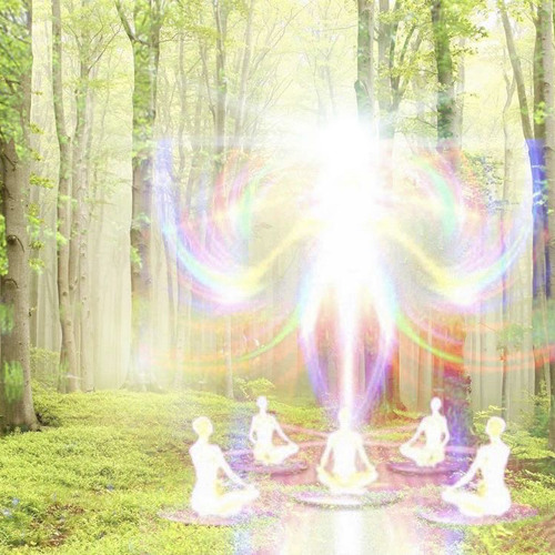 bird bath w/bugz (glossalia)