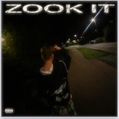 ZOOK IT