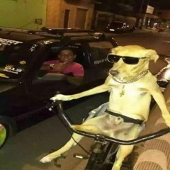 É ACADEMIA OU É EFEITO DO LEITIN - DJ MENOR RF Feat (Mc Rangel . Dg Mc , Mc Gw