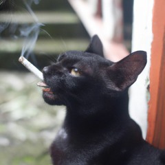 NOSEBLEED (Feat. Yung Ron)