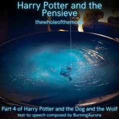 The Pensieve: Part 1 by thewholeofthemoon | Harry Potter and the Dog and the Wolf: Part 4