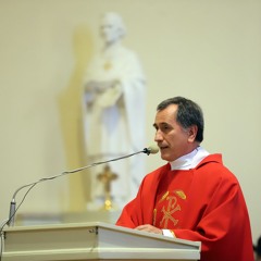 o. Luis Alonso OMI
