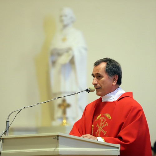 o. Luis Alonso OMI