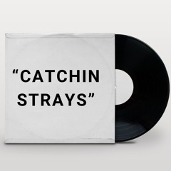CATCHIN STRAYS (prod. by regii)