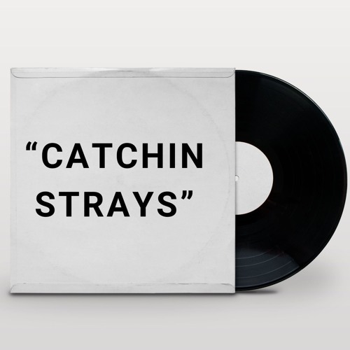 CATCHIN STRAYS (prod. by regii)