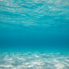 heavenly groovy blessing