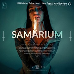 Mild Minds x Calvin Harris & Disciples - How Deep Is Your Devotion (KREAM Mashup) [LL9 Savaya Bali]