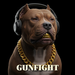 GUNFIGHT - W.I.P