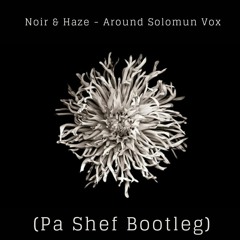 Noir & Haze - Around Solomun Vox (Pa Shef Bootleg) Free Download