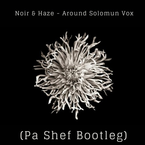 Noir & Haze - Around Solomun Vox (Pa Shef Bootleg) Free Download