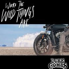 Luke Combs - Where the Wild Things Are EDM Trance Dubstep Psychedelic Country Remix