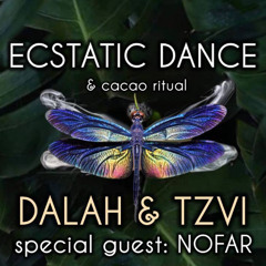 DALAH ⟁ Ecstatic Dance #5 - Shivari @ Koh Phangan, Thailand (June 2025)