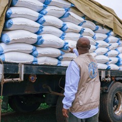 FAO Brief – 7 July 2025