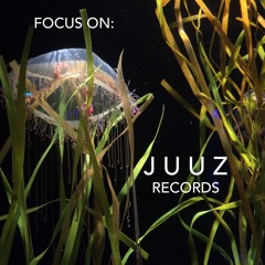 Focus On: Juuz Records