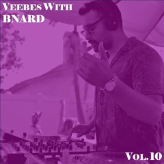 VEEBES WITH BNARD - VOL.10