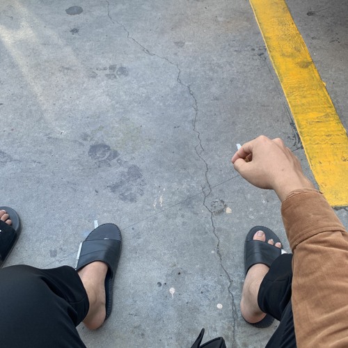 Không bay không về