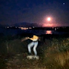 La journée aux oeufs 🦜 Egg day