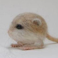 All the voices in my head are telling me to STFU