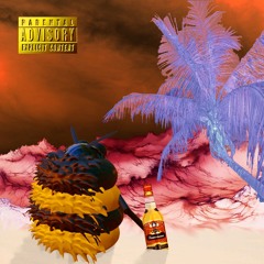 loft Sur Saturne - jeune peausauvée