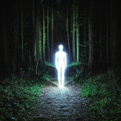 Last Human On Earth