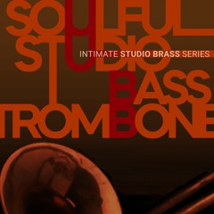 8Dio Soulful Studio Bass Trombone "Floating Spirit Master" By: Devesh Sodha