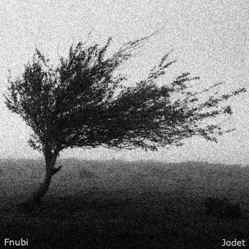 Jodet (disquiet0603)