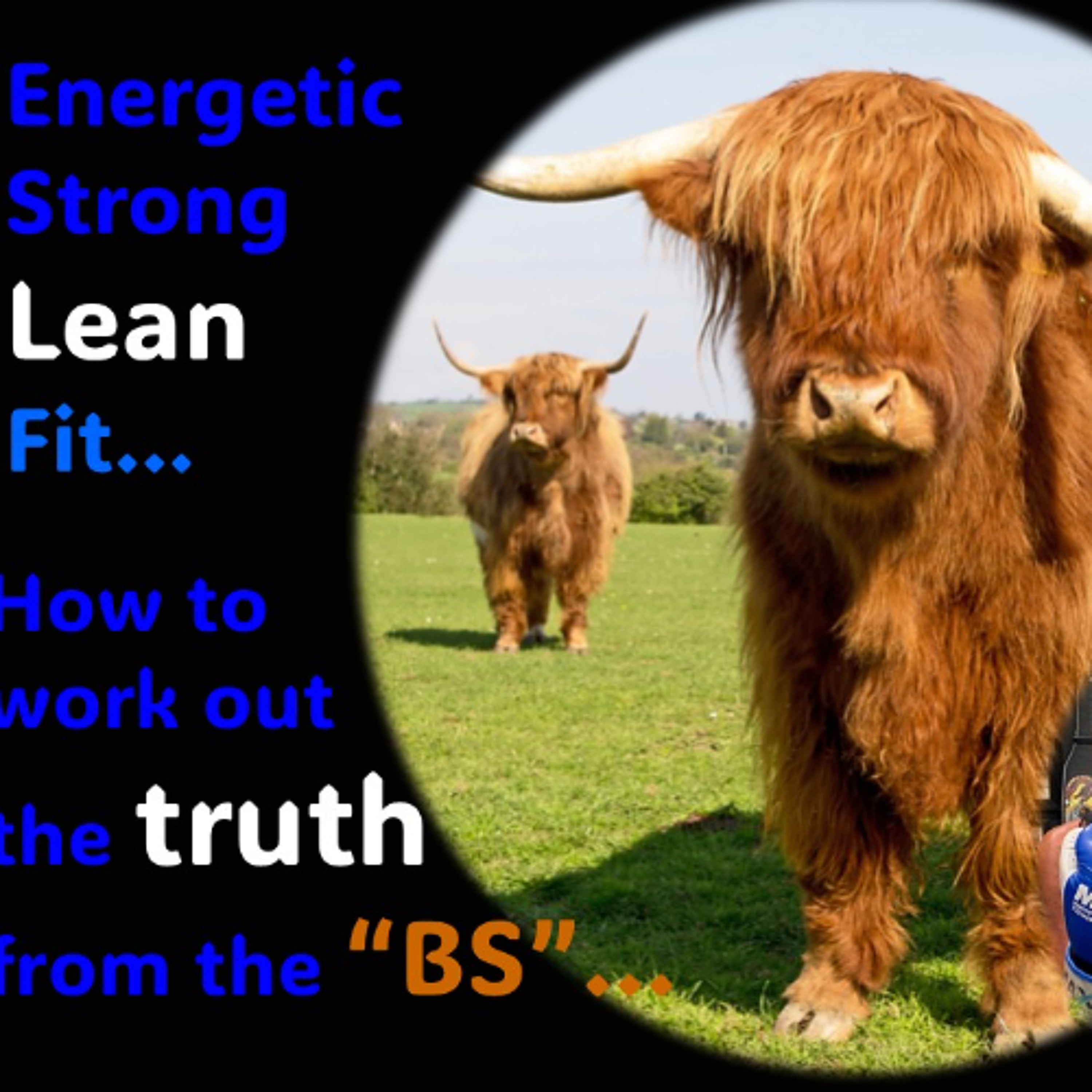 Lean, Fit, Strong and Energetic…HOW TO work out the truth from the “BS” episode artwork
