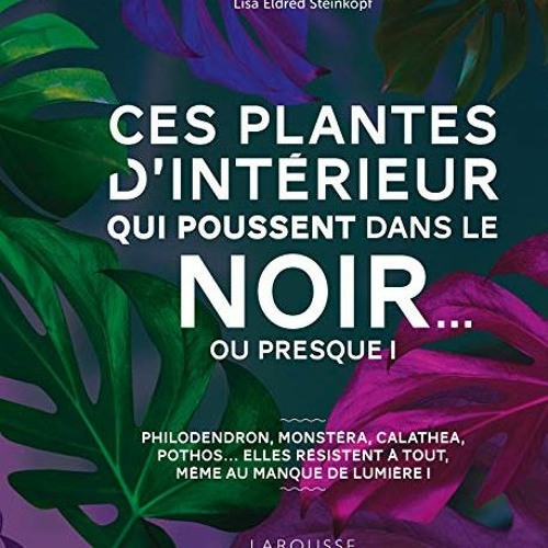 Lire Ces plantes d'intérieur qui poussent dans le noir... ou presque ! sur Amazon 2WaaV