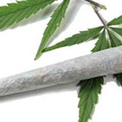 Ein guter !!! (Original REMAV 2) 109