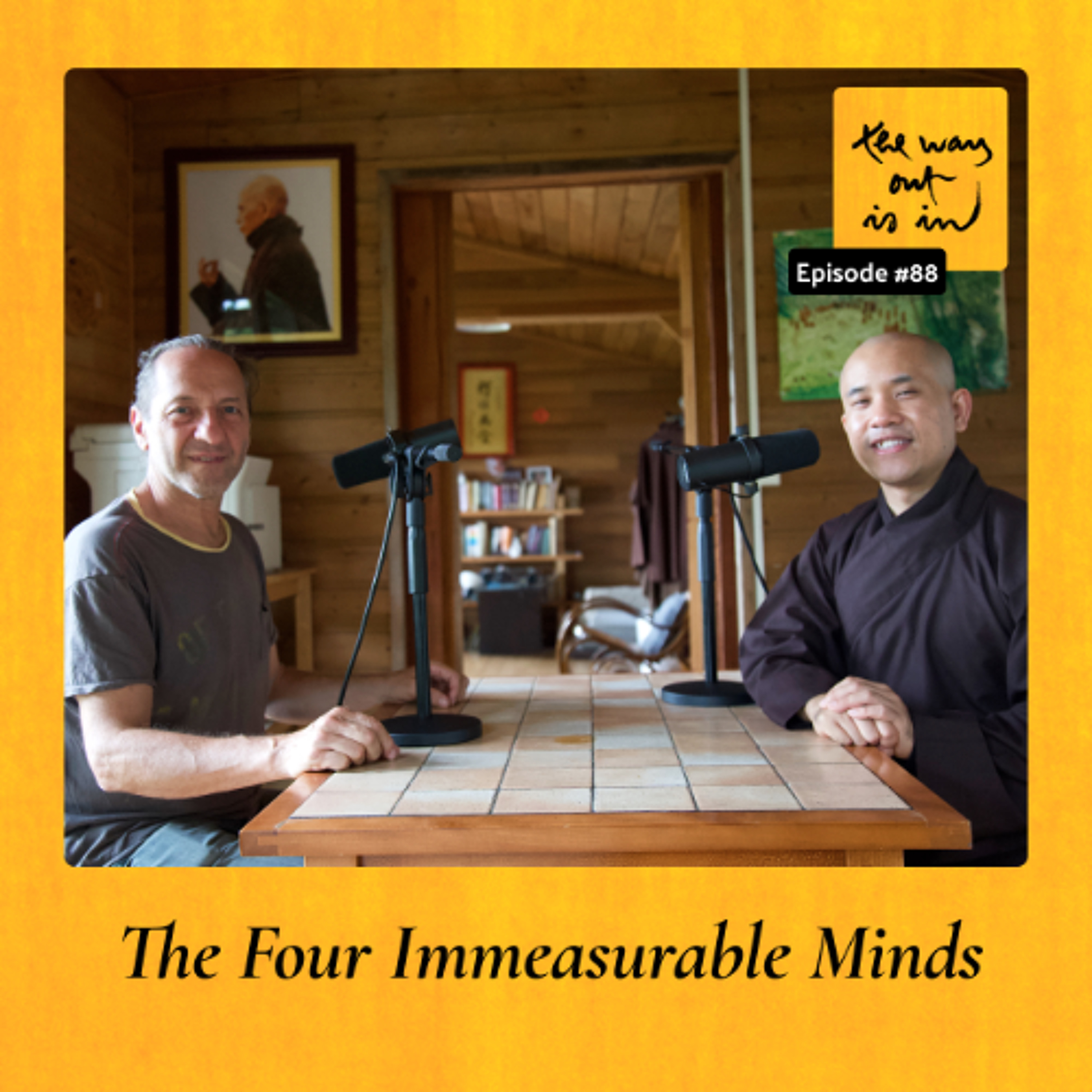 The Four Immeasurable Minds | TWOII podcast | Episode 88 episode artwork