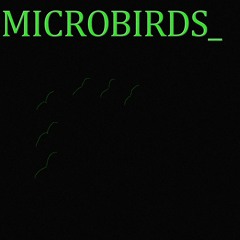 Microbirds