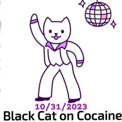 Black Cat On Cocaine