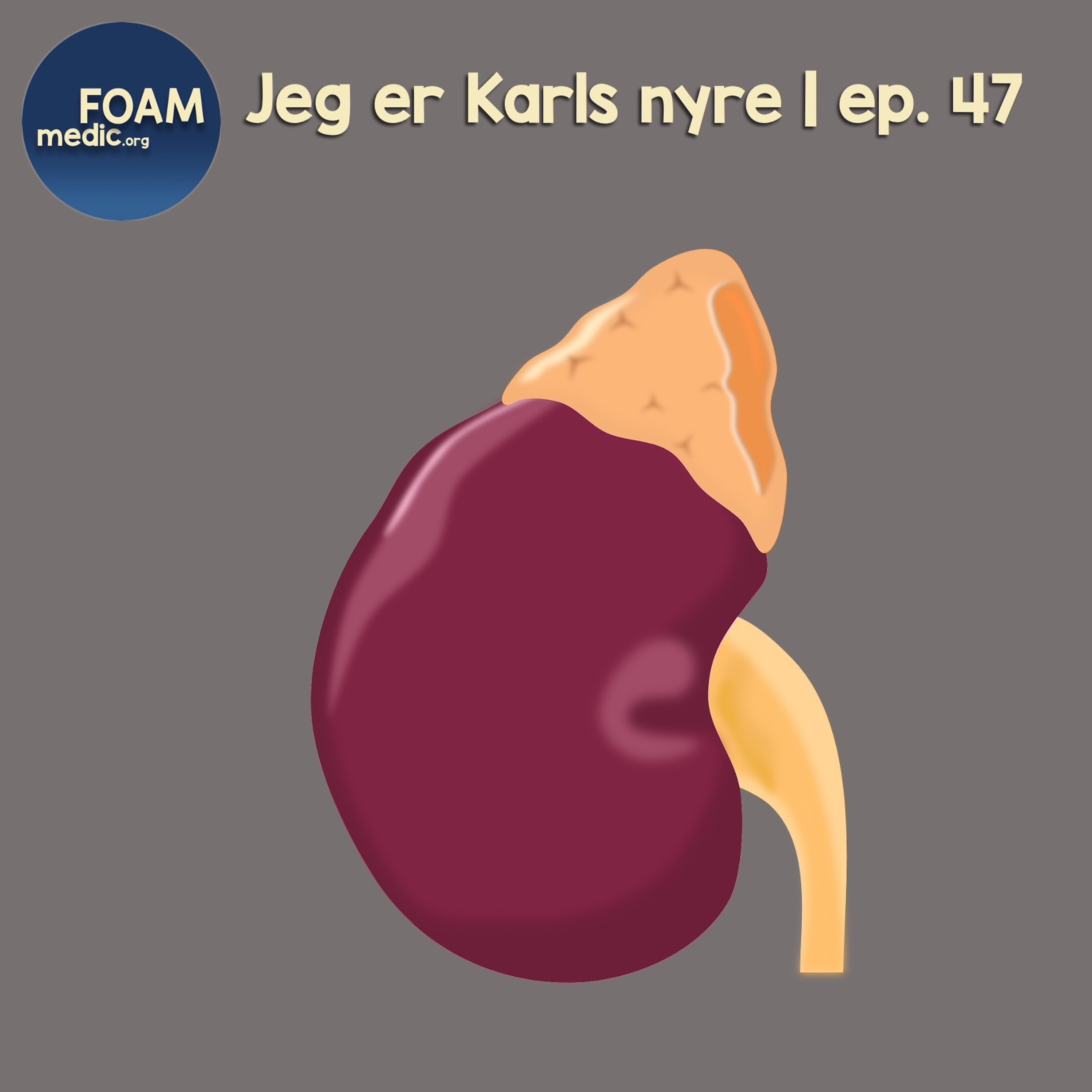 FOAMmedic Podcast