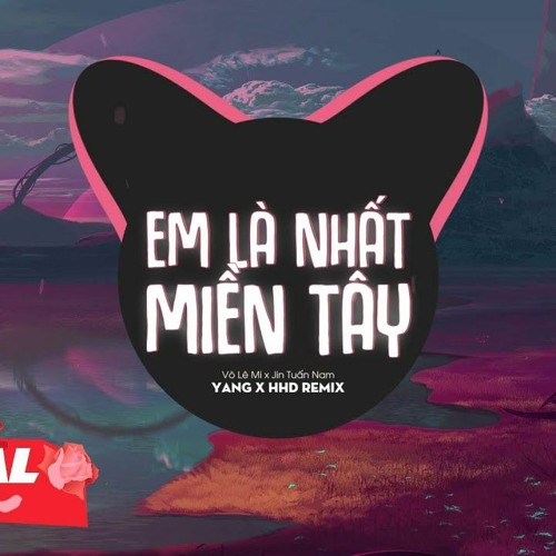 EM LÀ NHẤT MIỀN TÂY | VÕ LÊ MI & JIN TUẤN NAM Remix