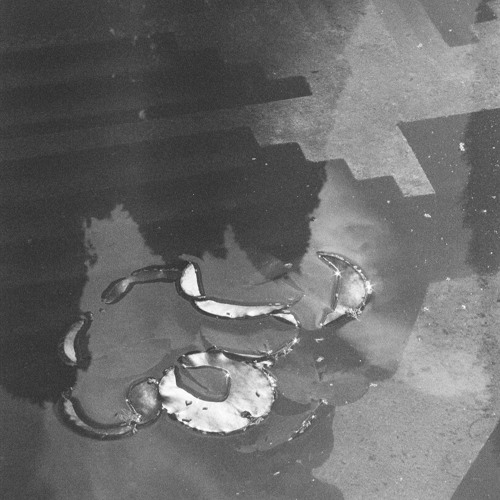 waterlilies in fontiform [framework editions]