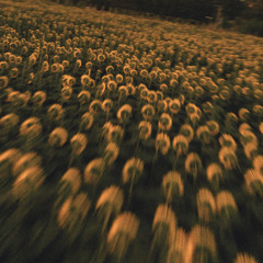 No sé si contaron Pero ando por la calle mientras me reparo Borracho por tu culpa, qué descaro💔