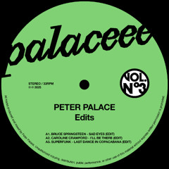 Bruce Springsteen - Sad Eyes (Peter Palace Edit)