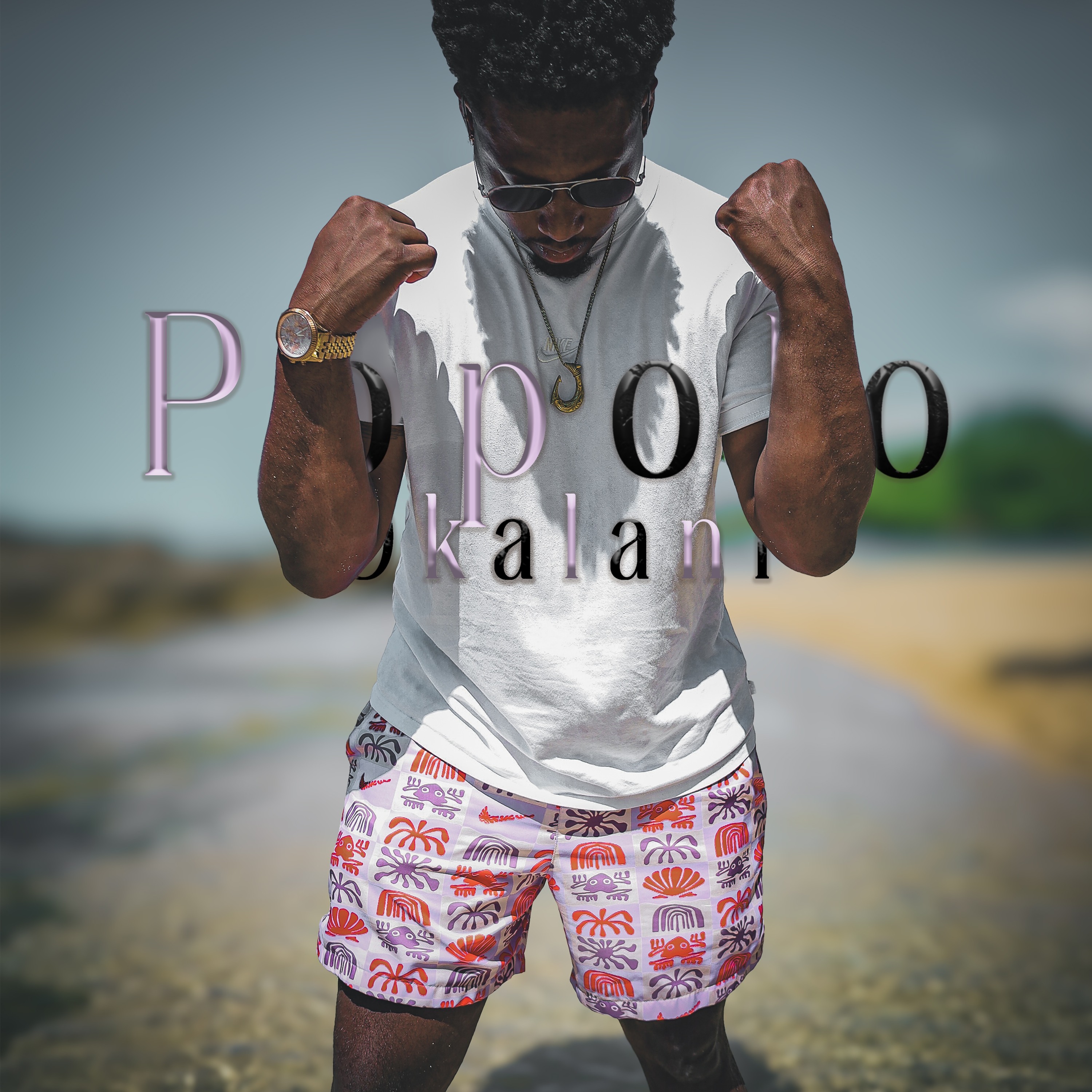 Popolookalani episode artwork