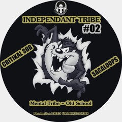 Crazy Vibes - SacaLoops (Independant Tribe #02)