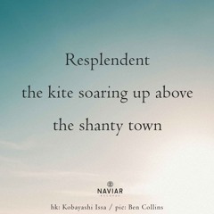 haiku #569: Resplendent the kite soaring up above the shanty town