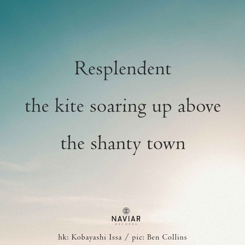 haiku #569: Resplendent the kite soaring up above the shanty town