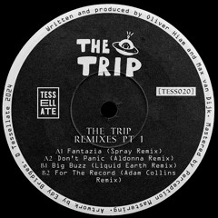 PREMIERE: The Trip - For The Record [Adam Collins Backspin Remix]