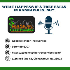 What Happens If a Tree Falls in Kannapolis, NC?