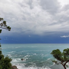 Vista Dal Giardino Di Bogliasco (Chasalow 2022)