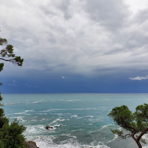 Vista Dal Giardino Di Bogliasco (Chasalow 2022)