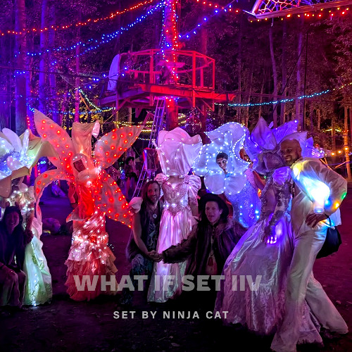 WHAT IF FEST set IIV
