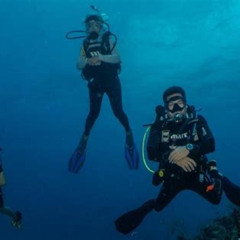 Review Special Price Fajardo 2tank Scuba Dive For Certified Divers Only