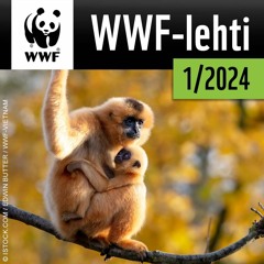 WWF-lehti 1/2024: Paljastavatko iilimadot saolan olinpaikan?