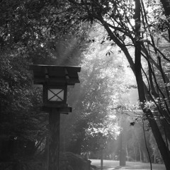 FAWM #9 2020 The Birdfeeder (strings)